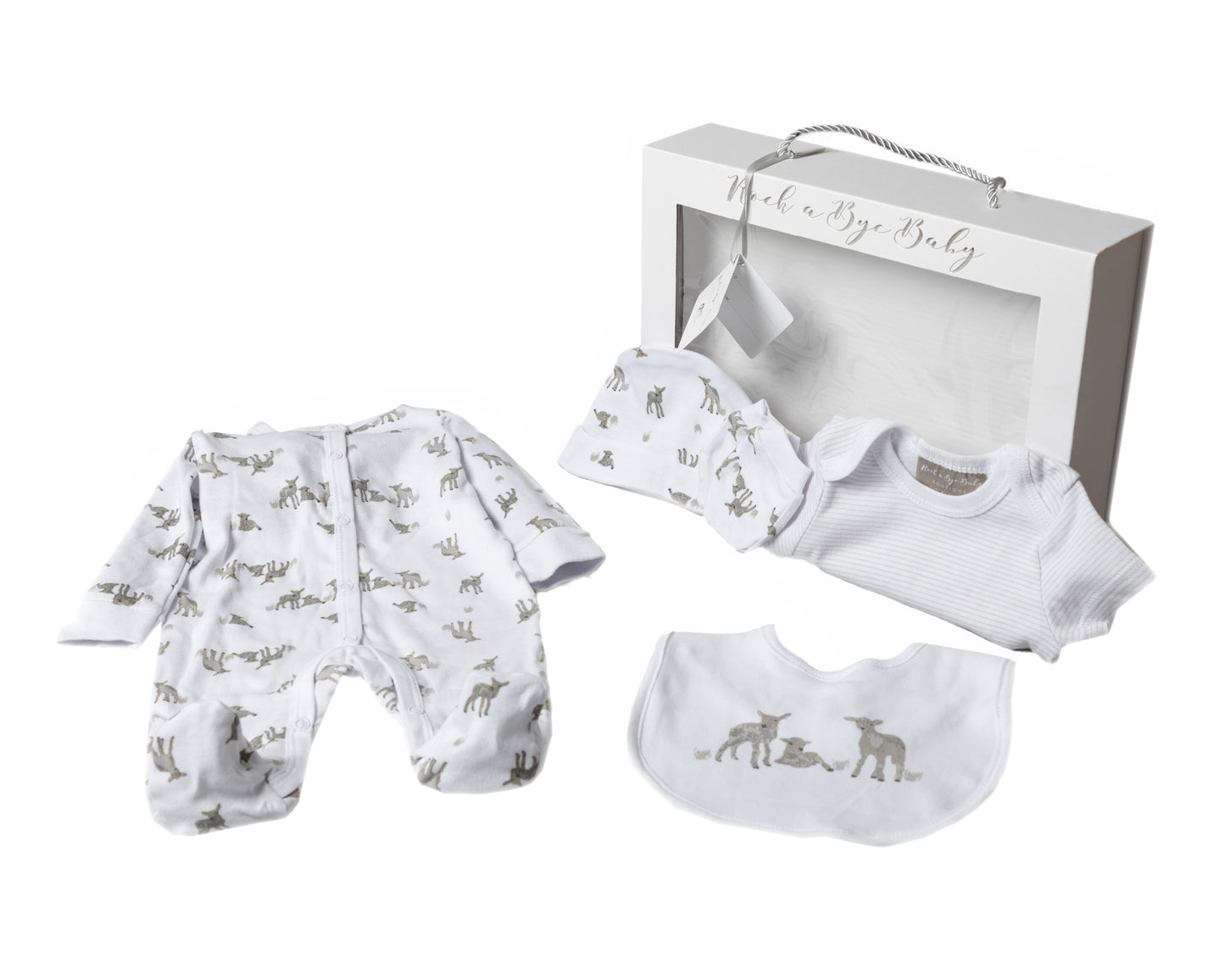 Baby 5 Piece Gift Set