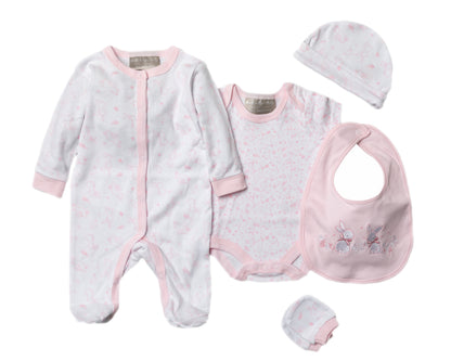 Baby 5 Piece Gift Set